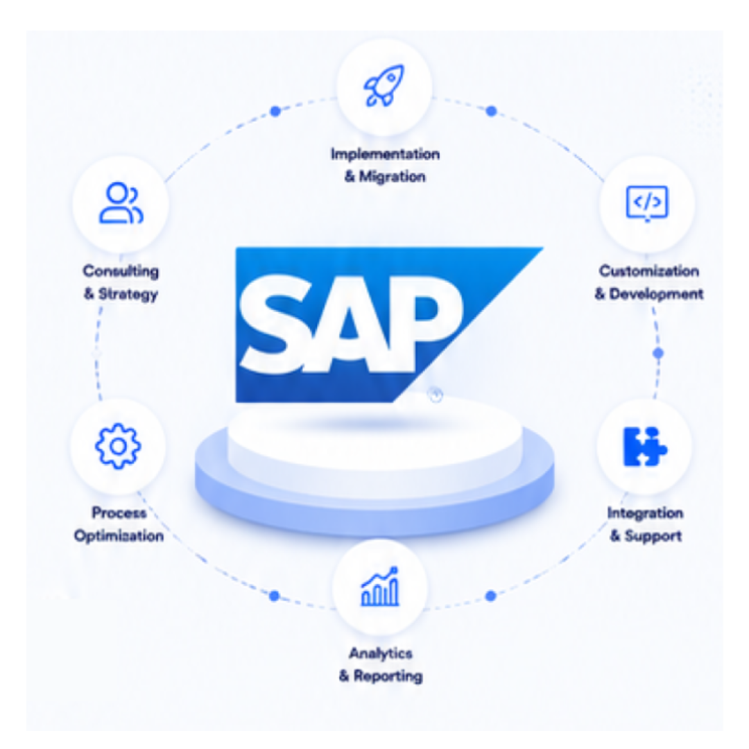 SAP Consultants
